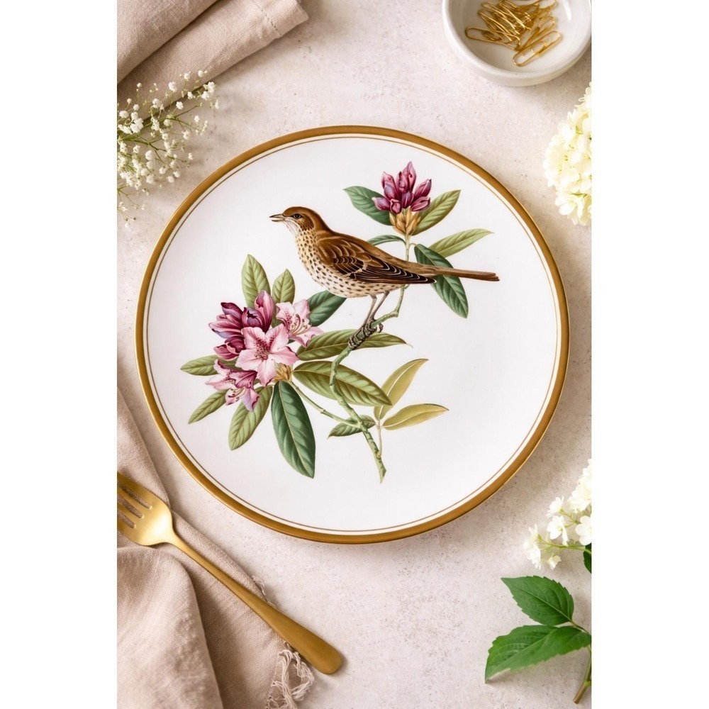 Spode Garden Birds Plate No. 5 of 6 Mistle Thrush Plate England Gold Trim 9.5"